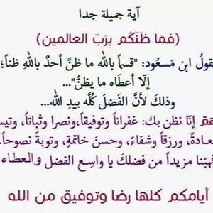 Meet your Posher, Momen